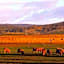 Ratho Farm