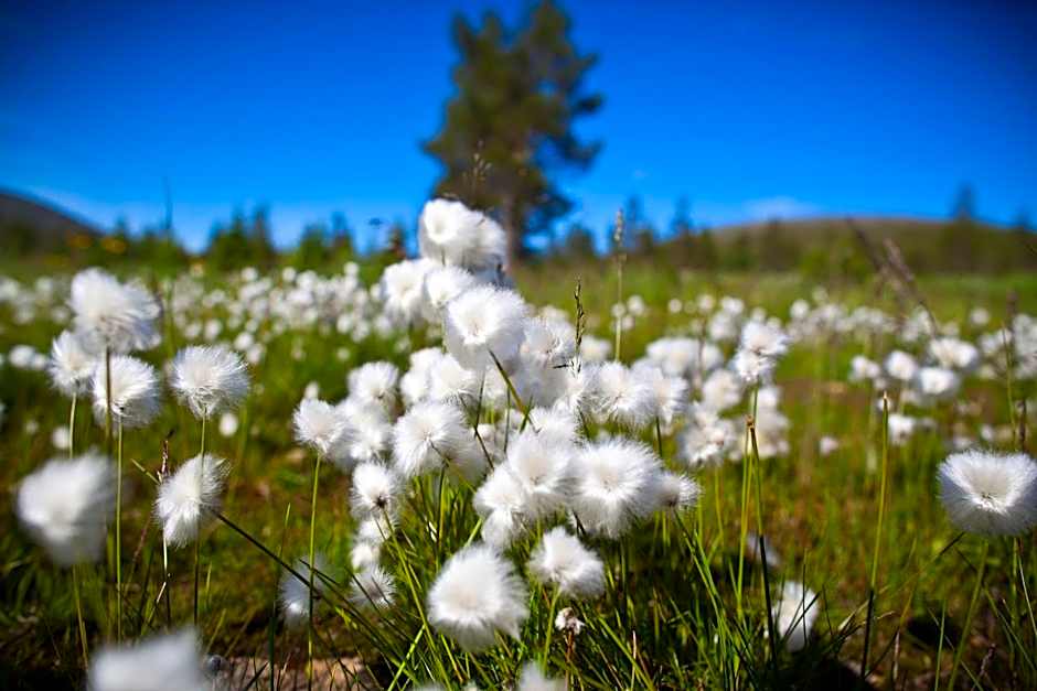 Lapland Hotels Kuopio