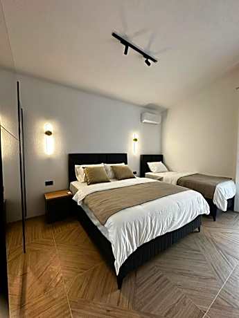 Deluxe One-Bedroom Apartment
