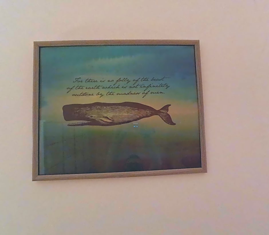 The Whale B&B