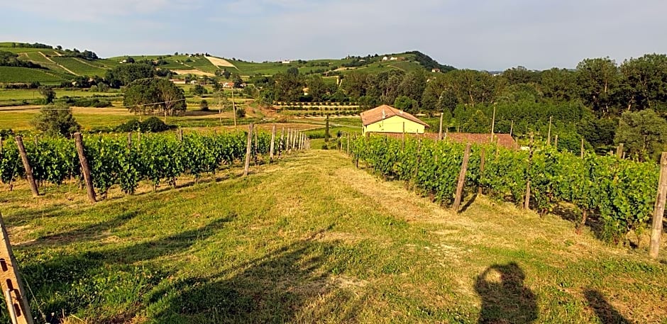 Villa Vigneto