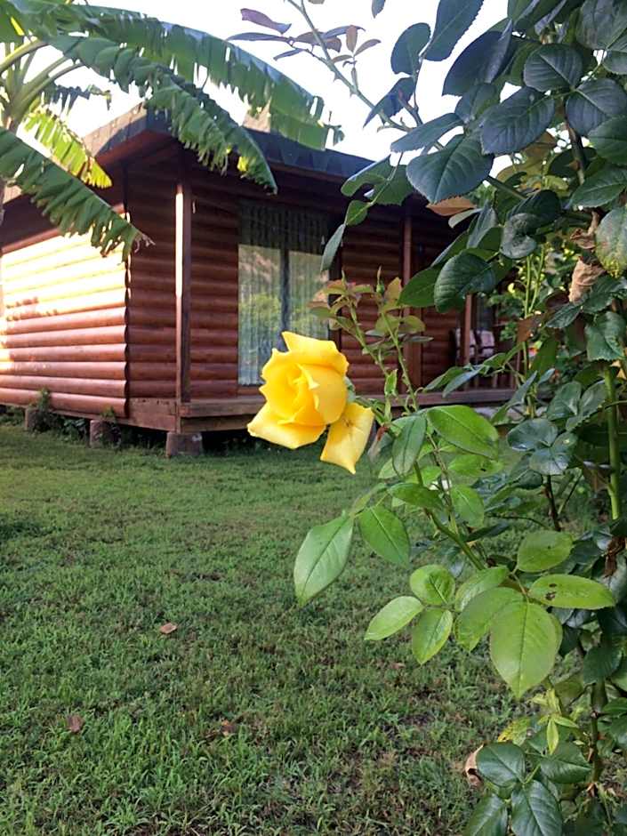 Cirali Armira Bungalow