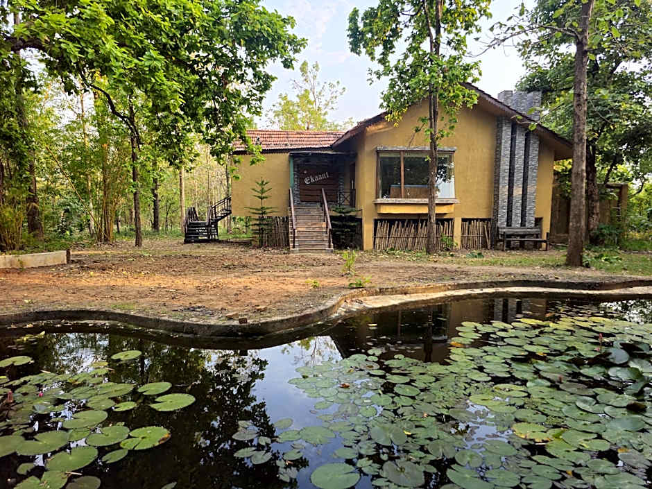 The Celebration Van Vilas