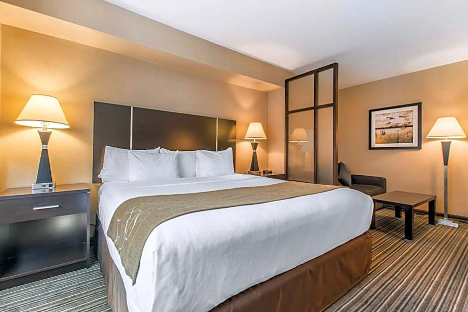 Comfort Suites Downtown