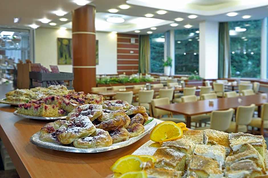 Interhotel Montana
