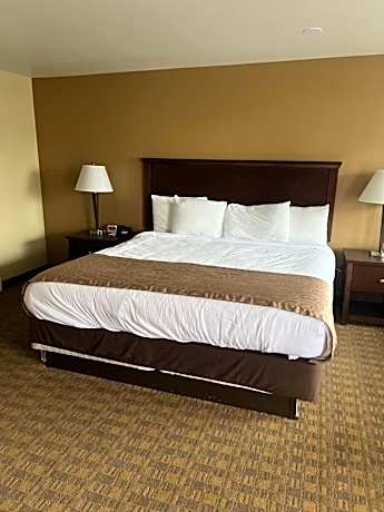 Junior Suite King Bed