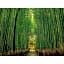 River Side Arashiyama - Vacation STAY 86216v