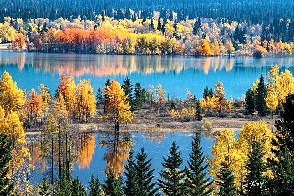 Sunny Tranquil Woods Turret in Falcon Crest Lodge