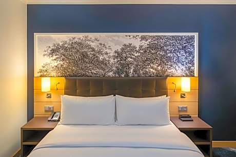 King Deluxe Room with City View - Rhine Wing