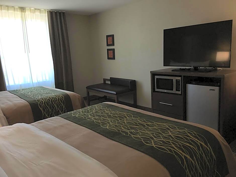 Comfort Inn & Suites Snyder