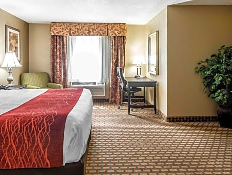 King Room - Non-Smoking