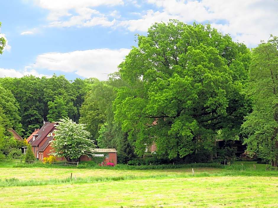 Land-gut-Hotel Waldesruh