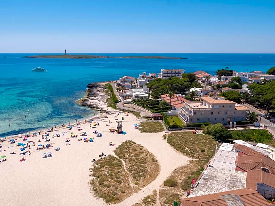 Comitas Isla del Aire