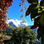 Hotel Bellevue-Wengen - Best view in town!