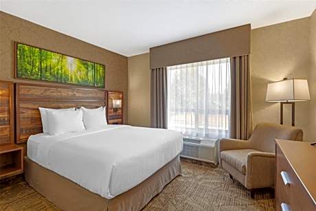 Best Western Plus Valemount Inn & Suites
