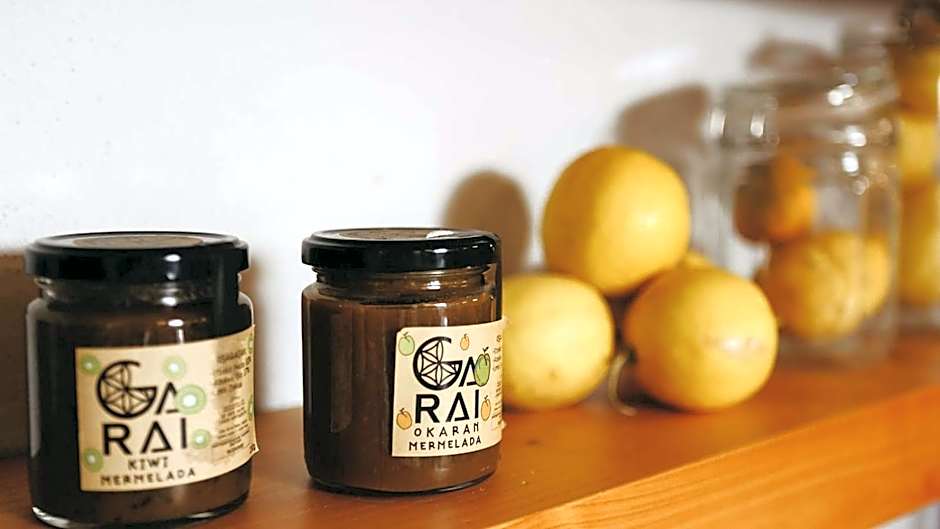 Hotel Garaiko Landetxea