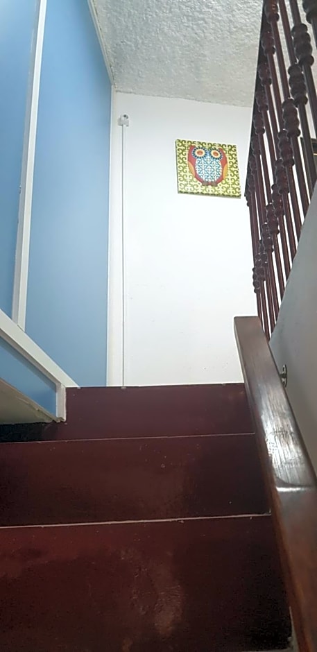 Branca Gonçalves Belmonte