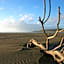 Port Waikato Holiday Park