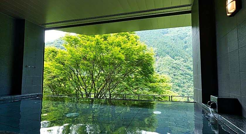 Wanoyado Hotel Iya Onsen Natural Hot Spring