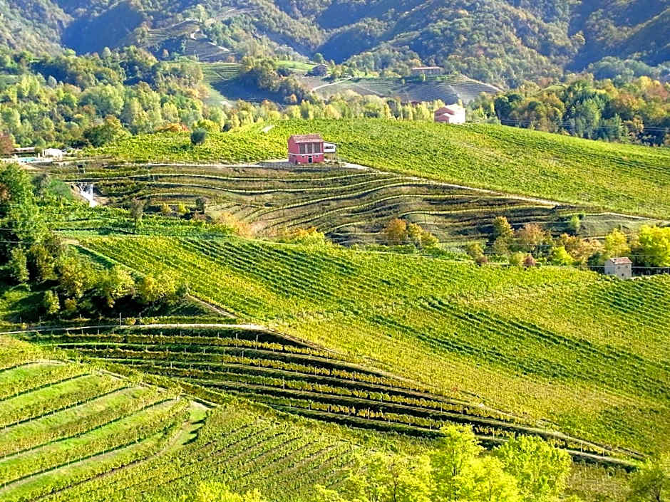 Hotel Contà Taste The Experience