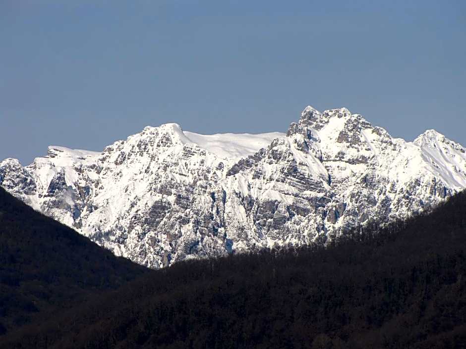 Residence SchioHotel