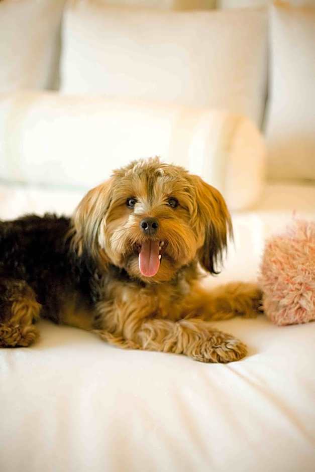 Vancouver Airport Marriott Hotel