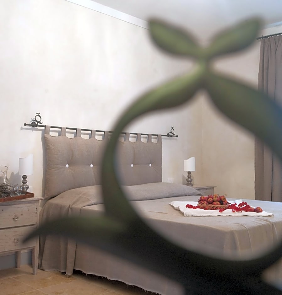 Rinidia Siena Celso Cittadini Grande