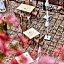 Cafe Rosi