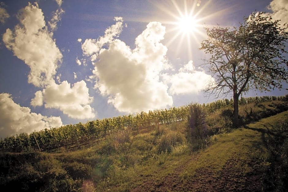 Landhotel & Weingut Espenhof