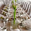 Hotel & Restaurant Lamm