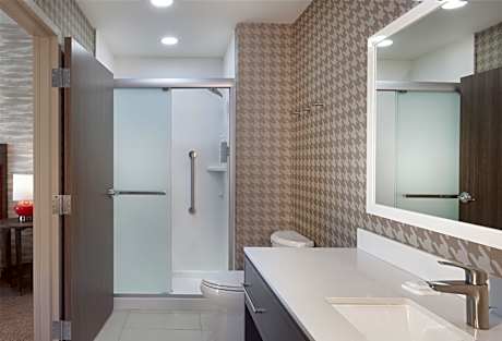 1 King Bed 1 Bedroom Suite