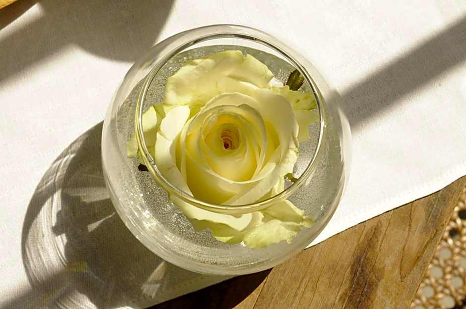 B&B Fine Fleur