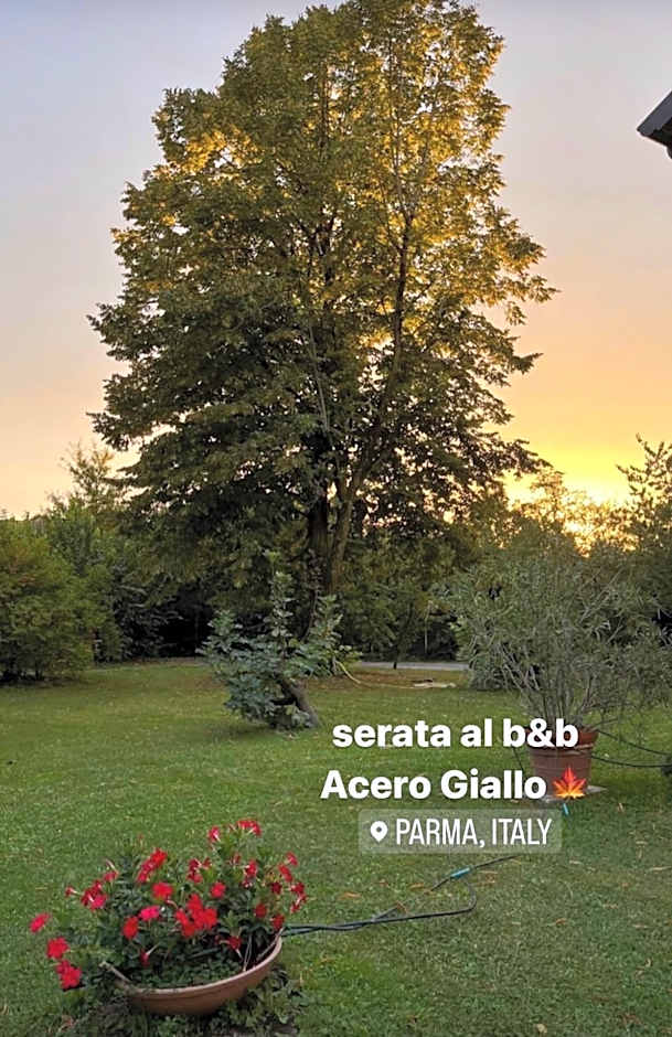 Acero Giallo