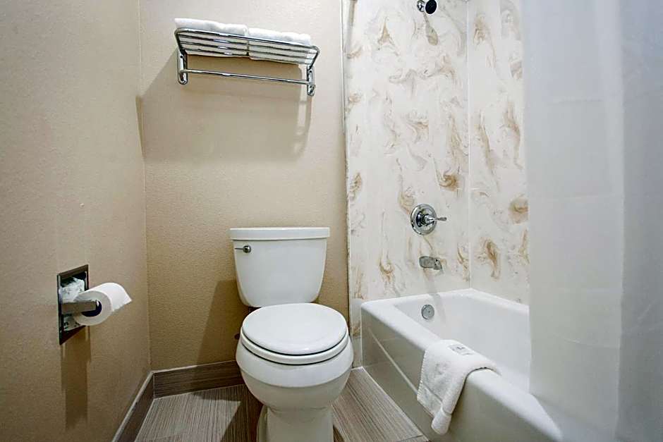 Palace Inn 290 & Jones Rd