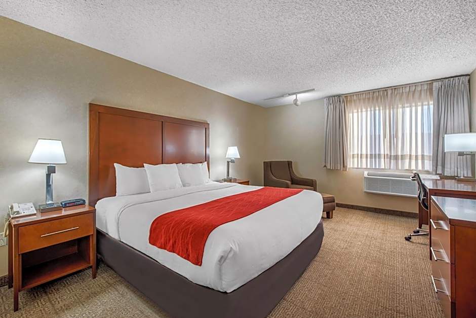 Comfort Inn Denver Southeast Area