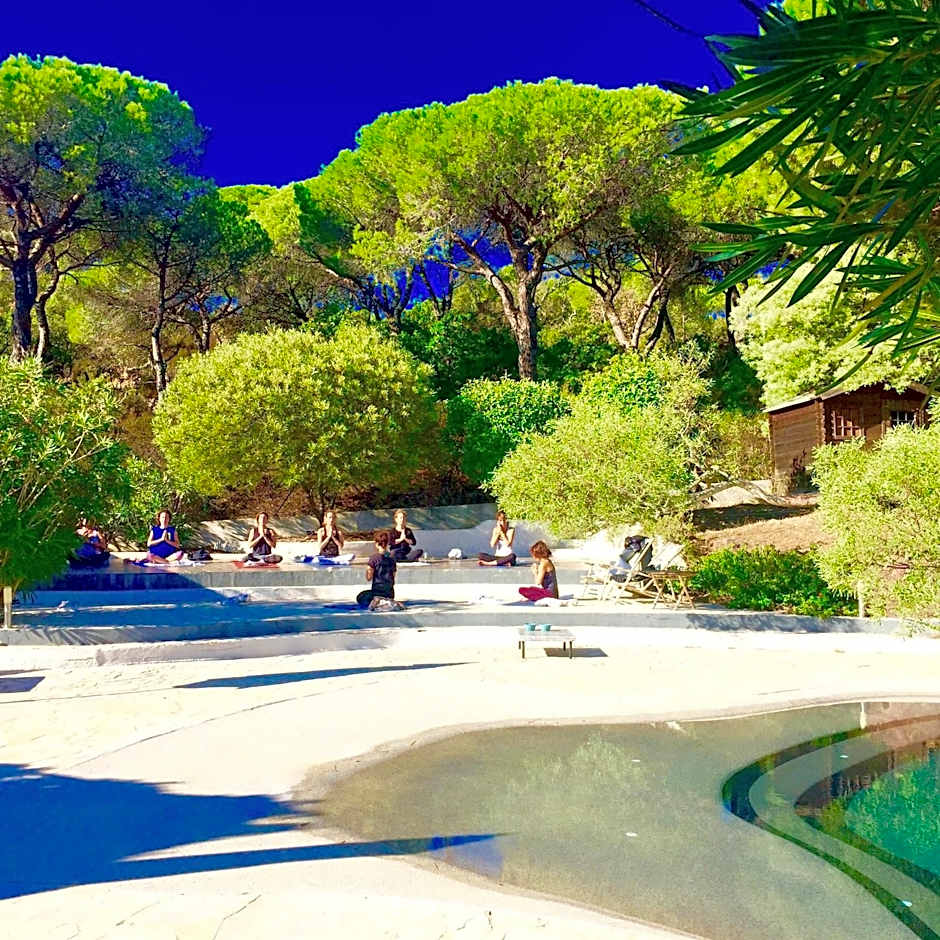 La Vigne de Ramatuelle