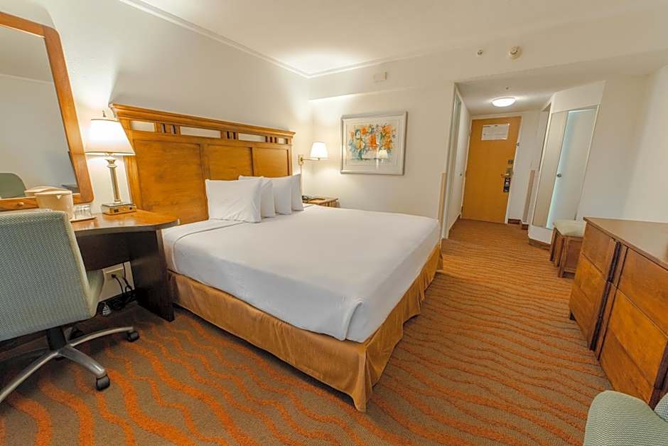 Irazu Hotel & Studios