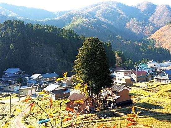 Keiryu Onsen Kammuriso