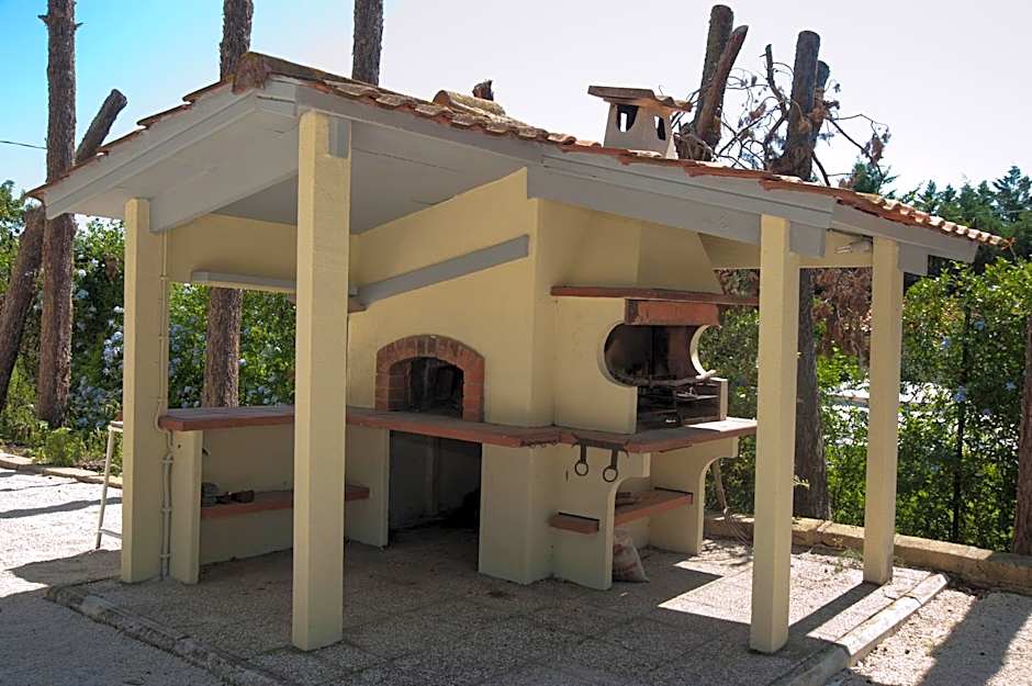 Domus in Viridi