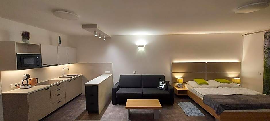 Wellness apartmány Říčky v Orlických horách