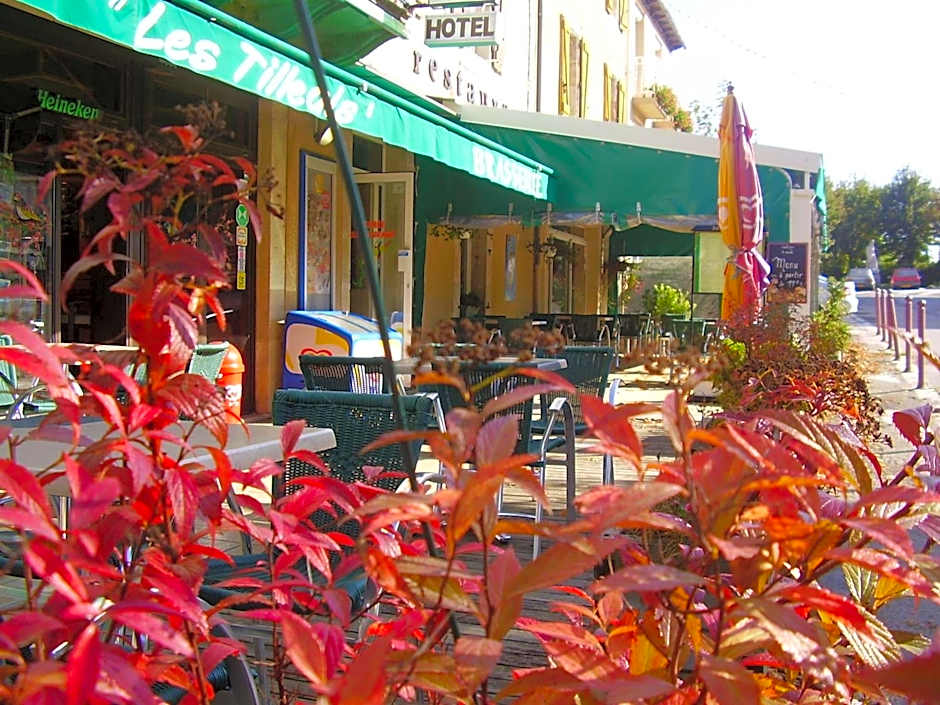 Hôtel Les Tilleuls de Pareloup à Salles-Curan