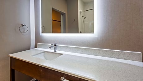 Accessible - 1 King  Mobility Accessible Communication Assistance Roll In Shower Pet Friendly Room M