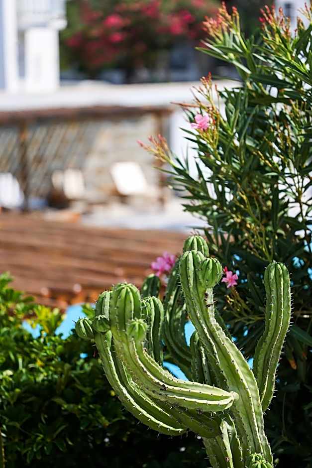 Poseidon Hotel Suites