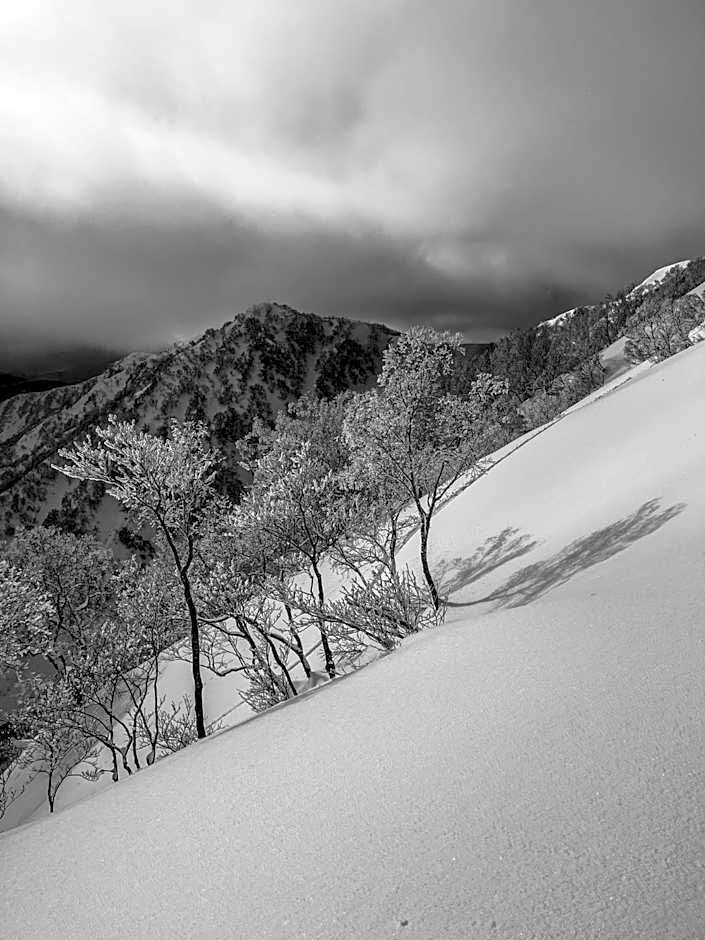 The Bohemians' Shelter