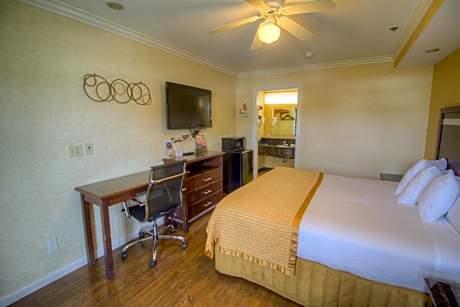 Queen Room - Disability Access