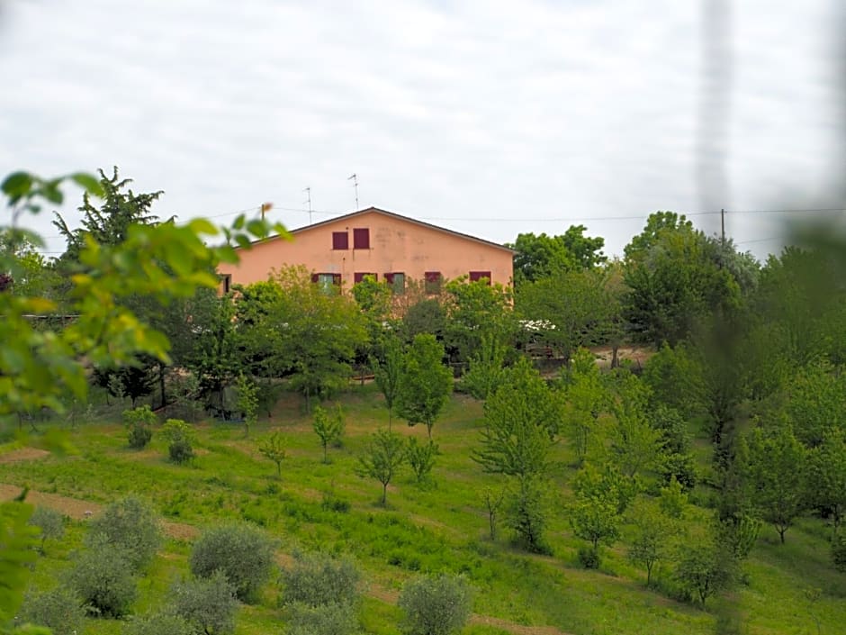 Il Rifugio dell'Ape Agriturismo