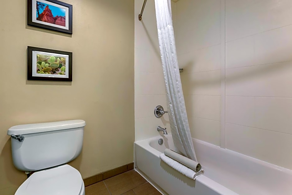 Comfort Inn & Suites Los Alamos