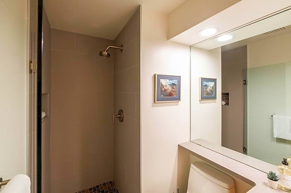 Forest Trails by Outpost Whistler