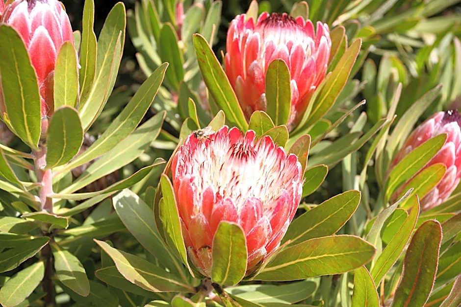 Silver Ridge Retreat