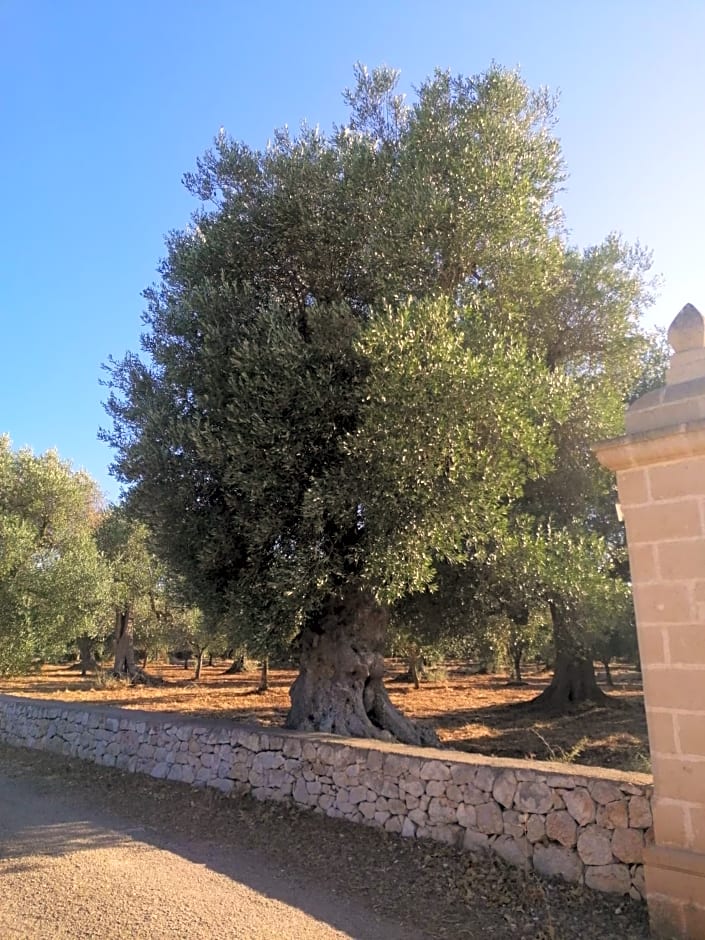 MASSERIA Le Betulle